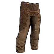 Leopard Skin Pants