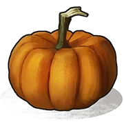 Pumpkin